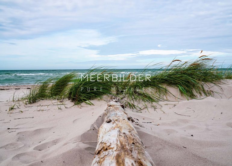 Strandbild Fotoleinwand Treibholz