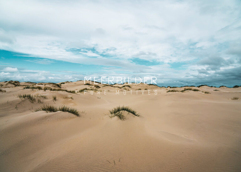 Nordsee Bilder auf Alu Dibond oder Leinwand