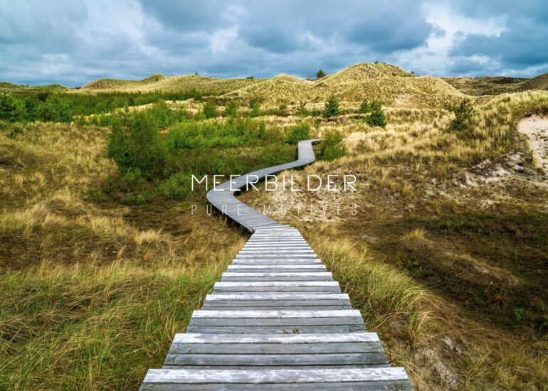 Nordsee Bilder Amrum Dünenweg