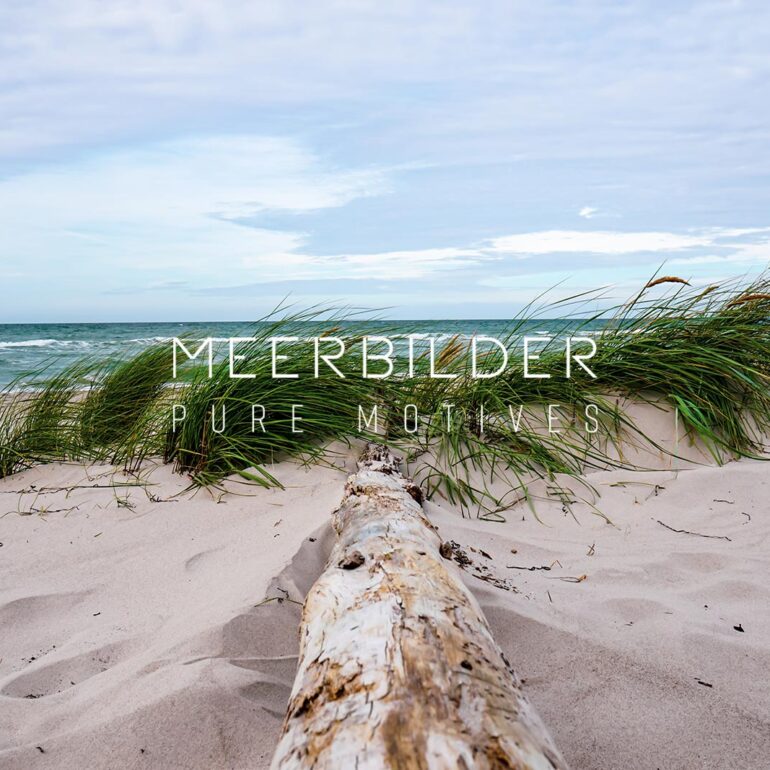 Bilder vom Weststrand mit Treibholz