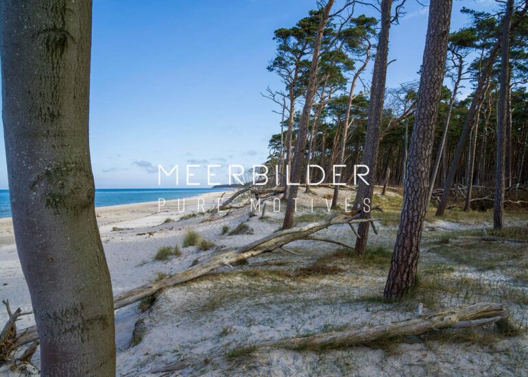 Wandbild Weststrand für das Wohnzimmer