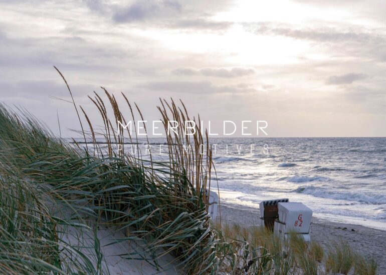 Dünenbild mit Strandkörben im Hintergrund für das Wohnzimmer