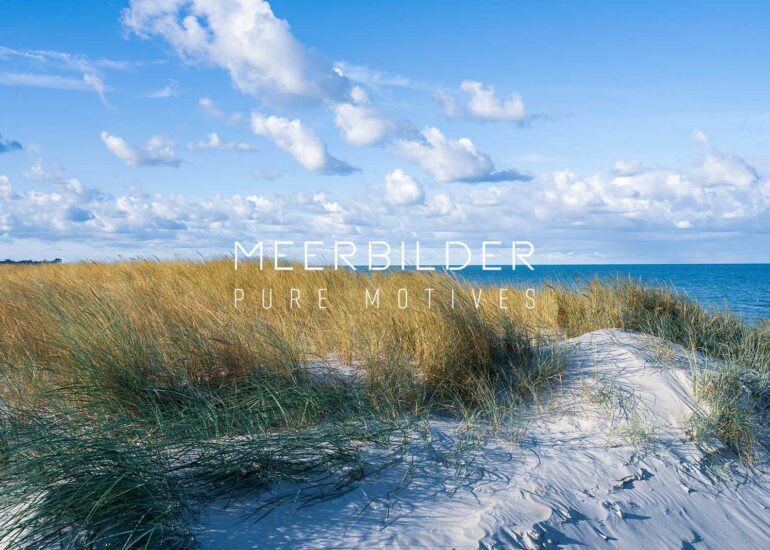 Wohnzimmer Bilder mit Düne am Weststrand in Mecklenburg-Vorpommern