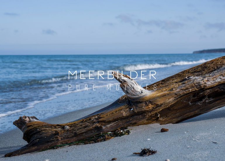 Strandbilder mit Treibholz an der Ostsee und Nordsee