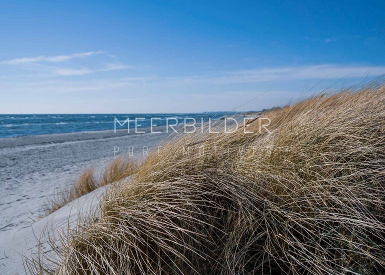 Strandbilder mit Dünen
