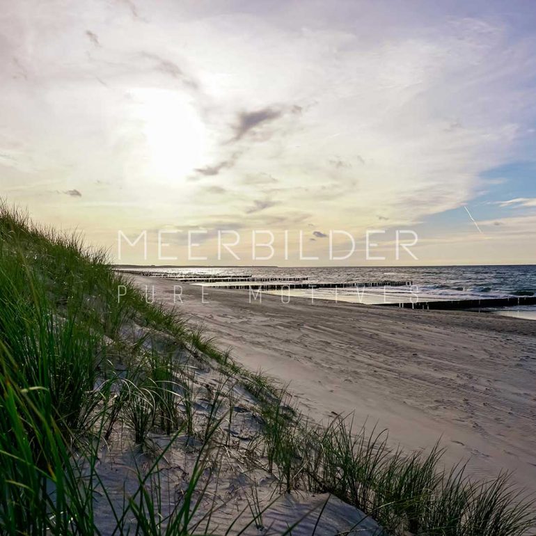 Hohe Düne an der Ostsee