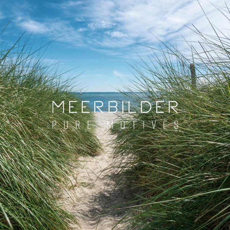 Dünenbild mit Dünenhafer