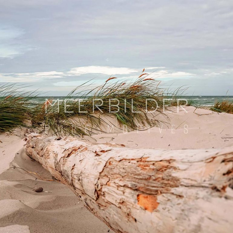 Sanfte Ostsee Dünen mit Treibholz