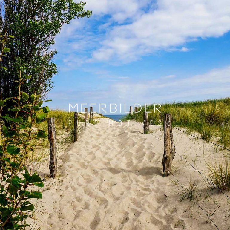 Dünen Bilder und Landschaft an der Ostsee