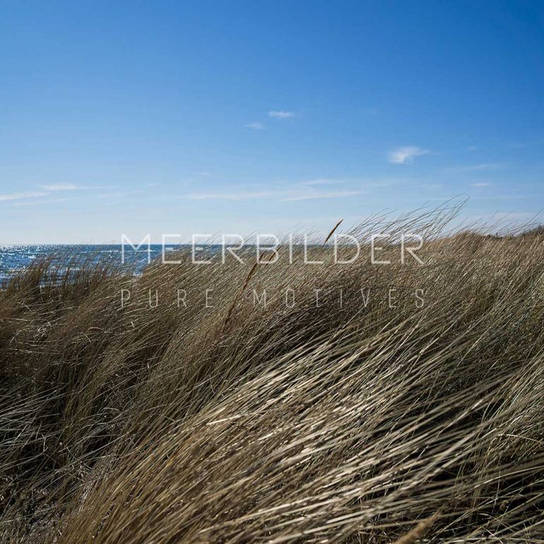 Grünen Dünen an der Ostsee