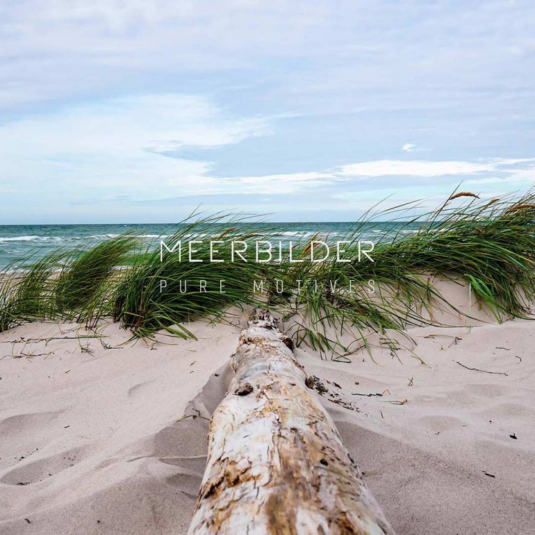 Treibholz mit sanfter Düne