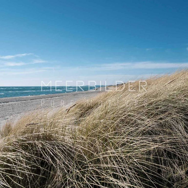 Dünen mit Dünengras und Strand
