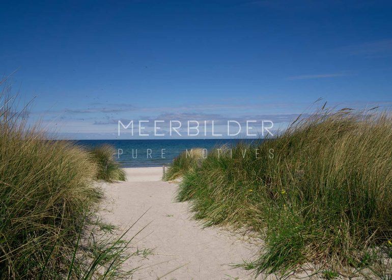 Ostseebild: Weg durch sanfte Dünen an der Ostsee