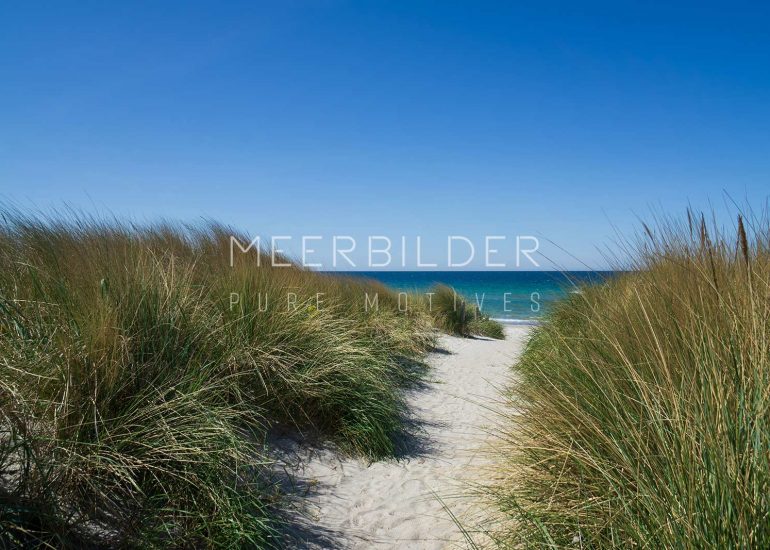 Ostseebild mit Dünenpfad