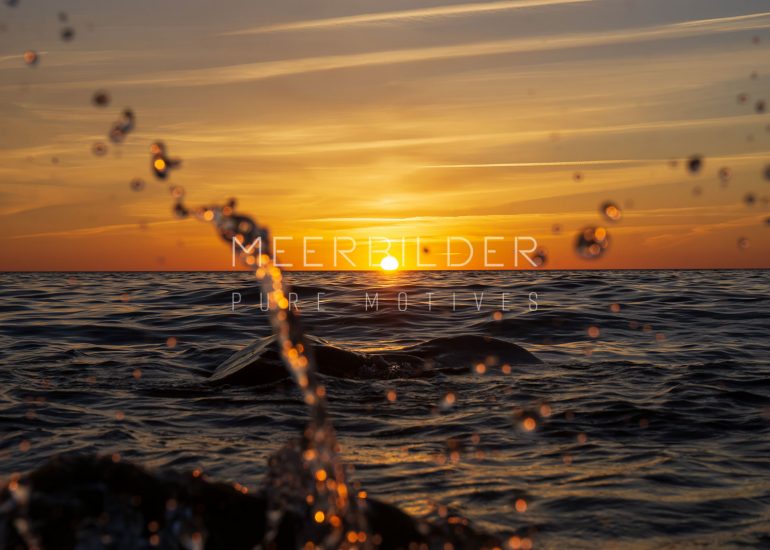 Wohnzimmerbilder in diversen Druckformaten und Größen