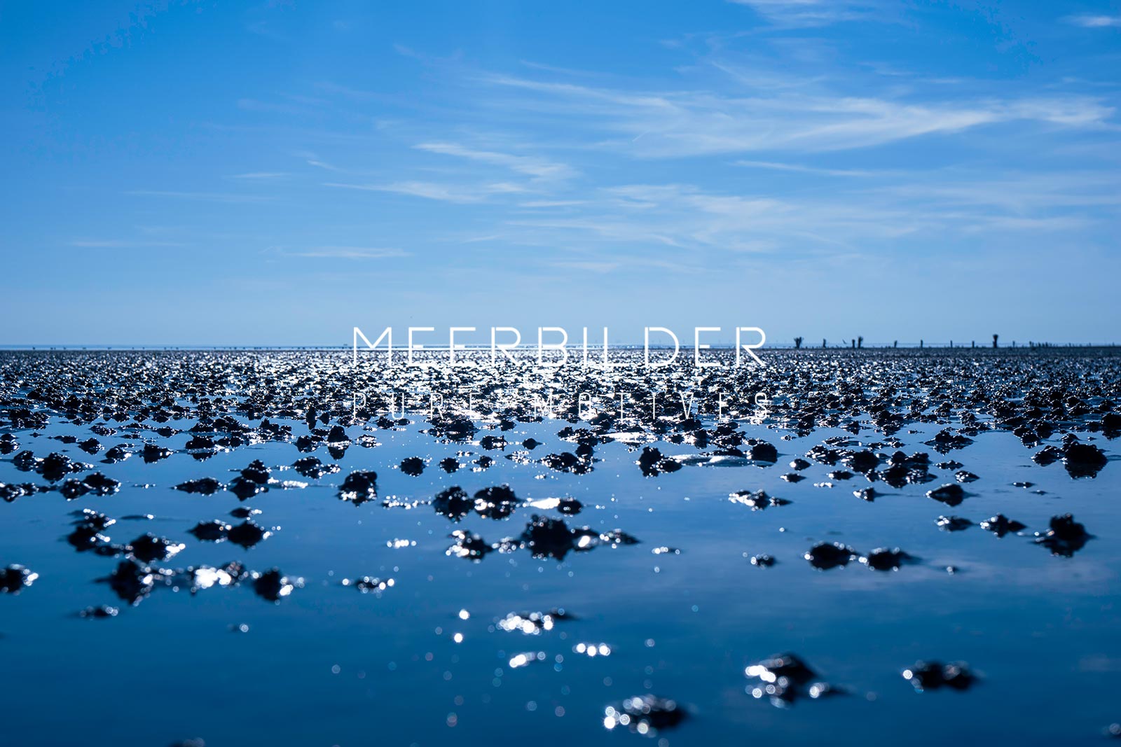 Bilder von der Nordsee aus dem Watt