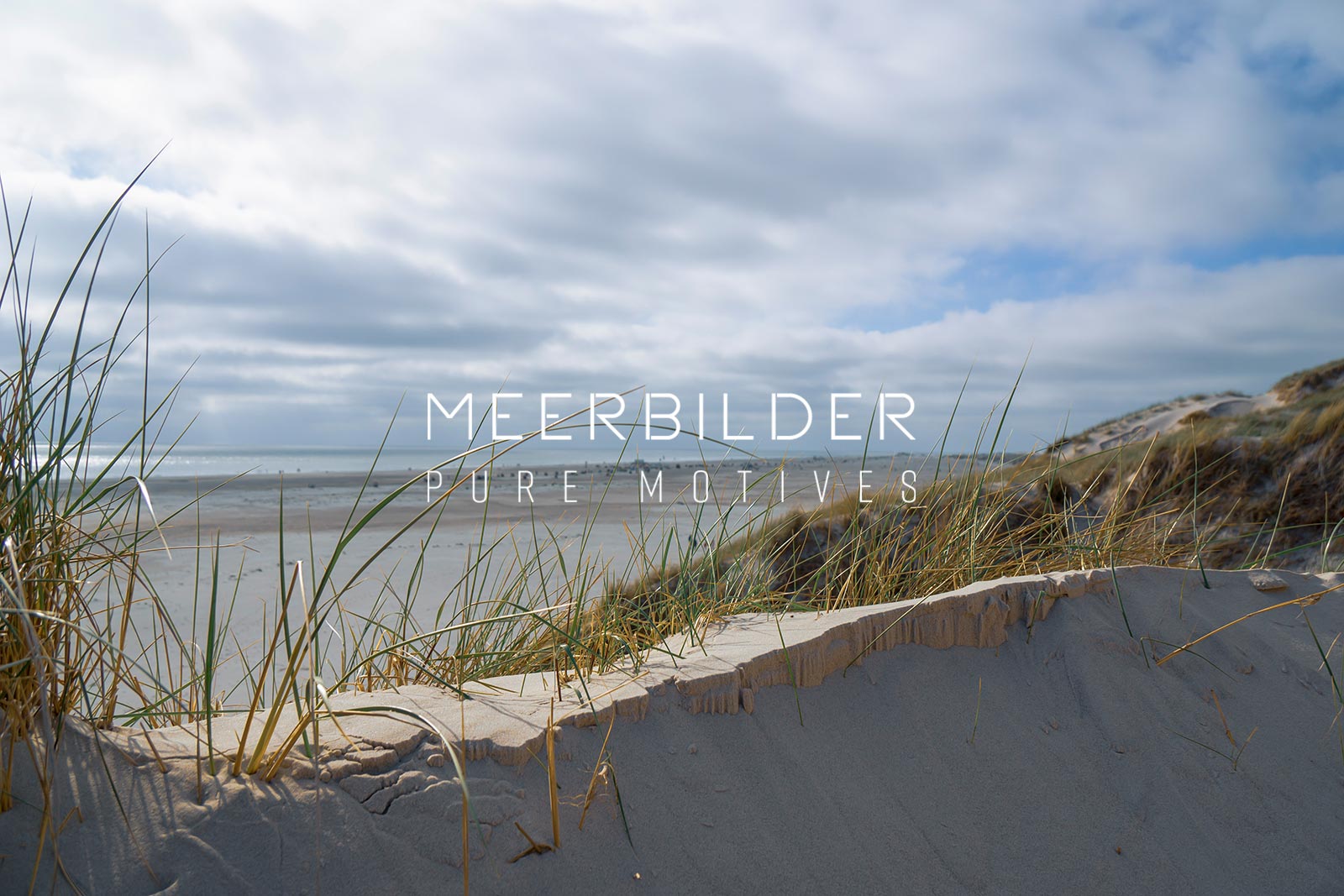 Dünen an der Nordsee und weiter Strand im Hintergrund