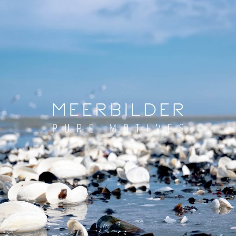 Fotokunst Leinwandbild: Detailaufnahme eines Muschelmeers am Spülsaum mit künstlerischem Bokeh-Effekt.