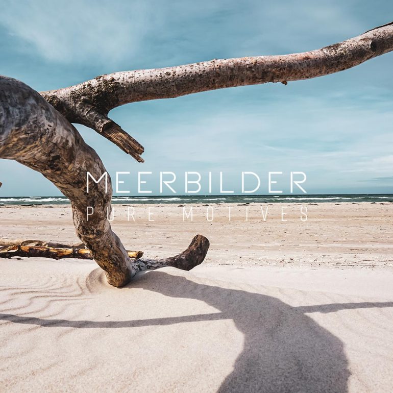 Weite des Weststrandes auf Leinwand: Strandmotiv aufgenommen unter Treibholz-Ästen mit Blick auf die Ostsee.