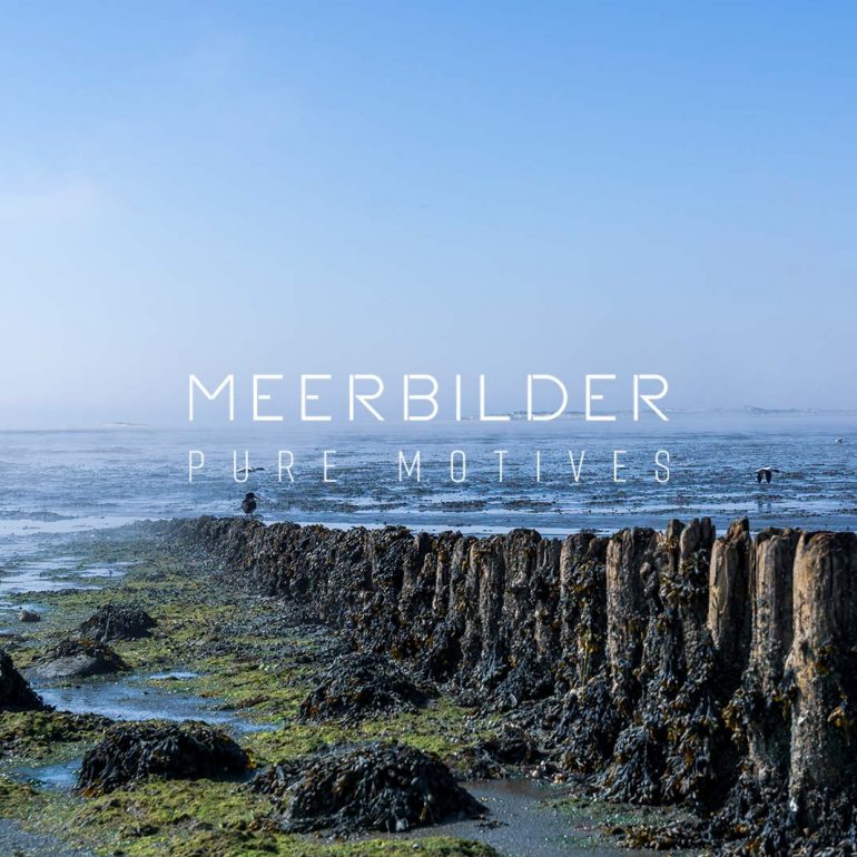 Nordseebilder Leinwand: Verwitterte Buhne mit Austernfischer im Morgennebel über dem Watt von Amrum.