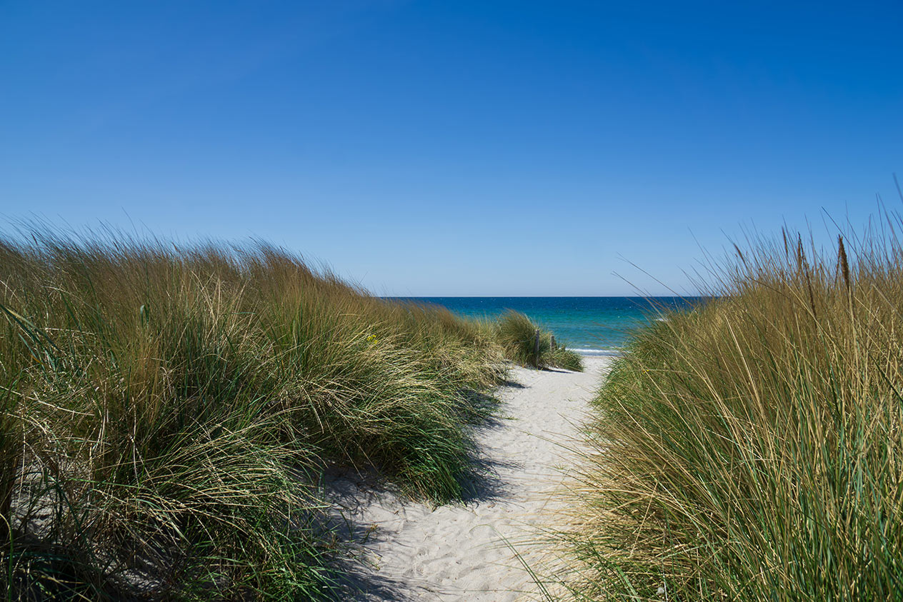 Exklusives Ostsee Wandbild - Strandweg durch Dünengras zur azurblauen See